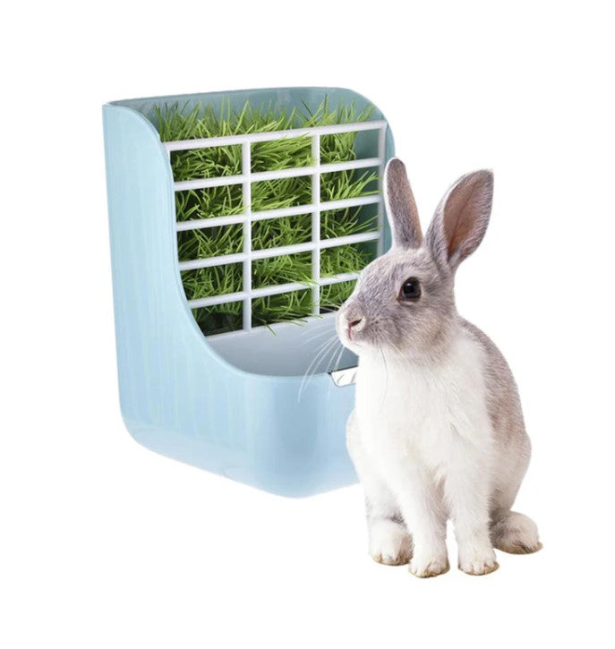 La boutique du lapin