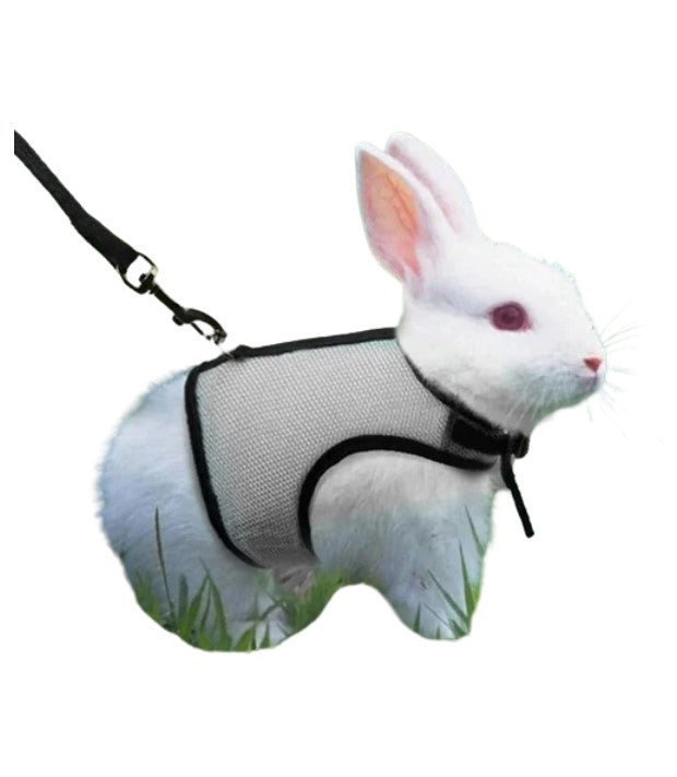 La boutique du lapin