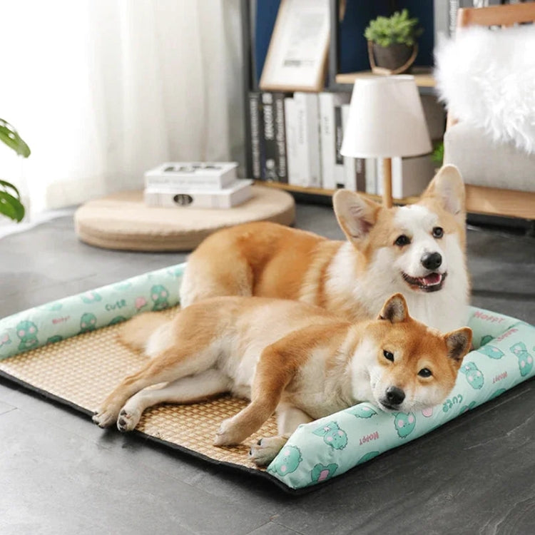 Tapis pour Chien