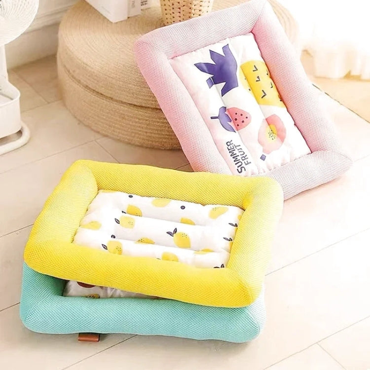 Tapis pour Chien