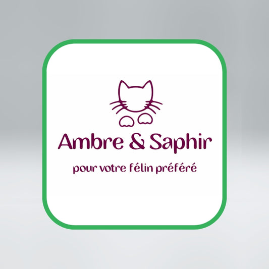 Ambre&Saphir -  SECRETLINK