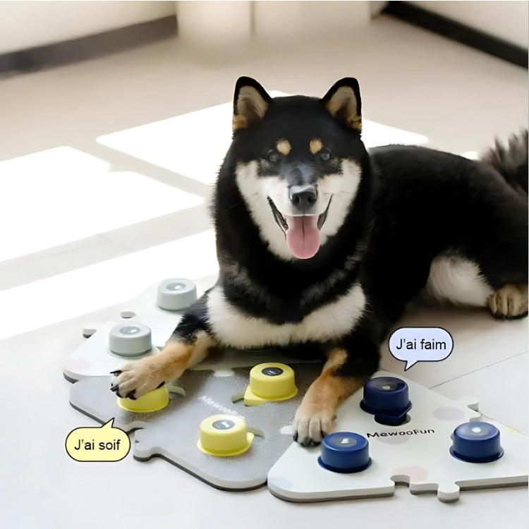 Tapis pour Chien